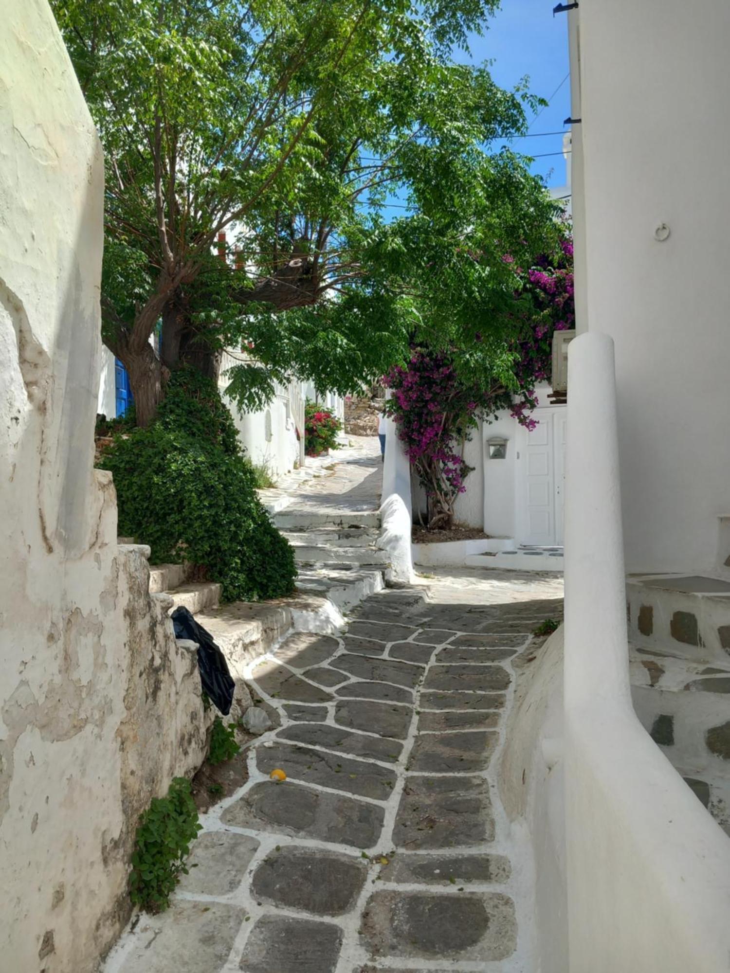 Alex Oldtown Sea View Rooms And Appartments Mykonos Town Room photo