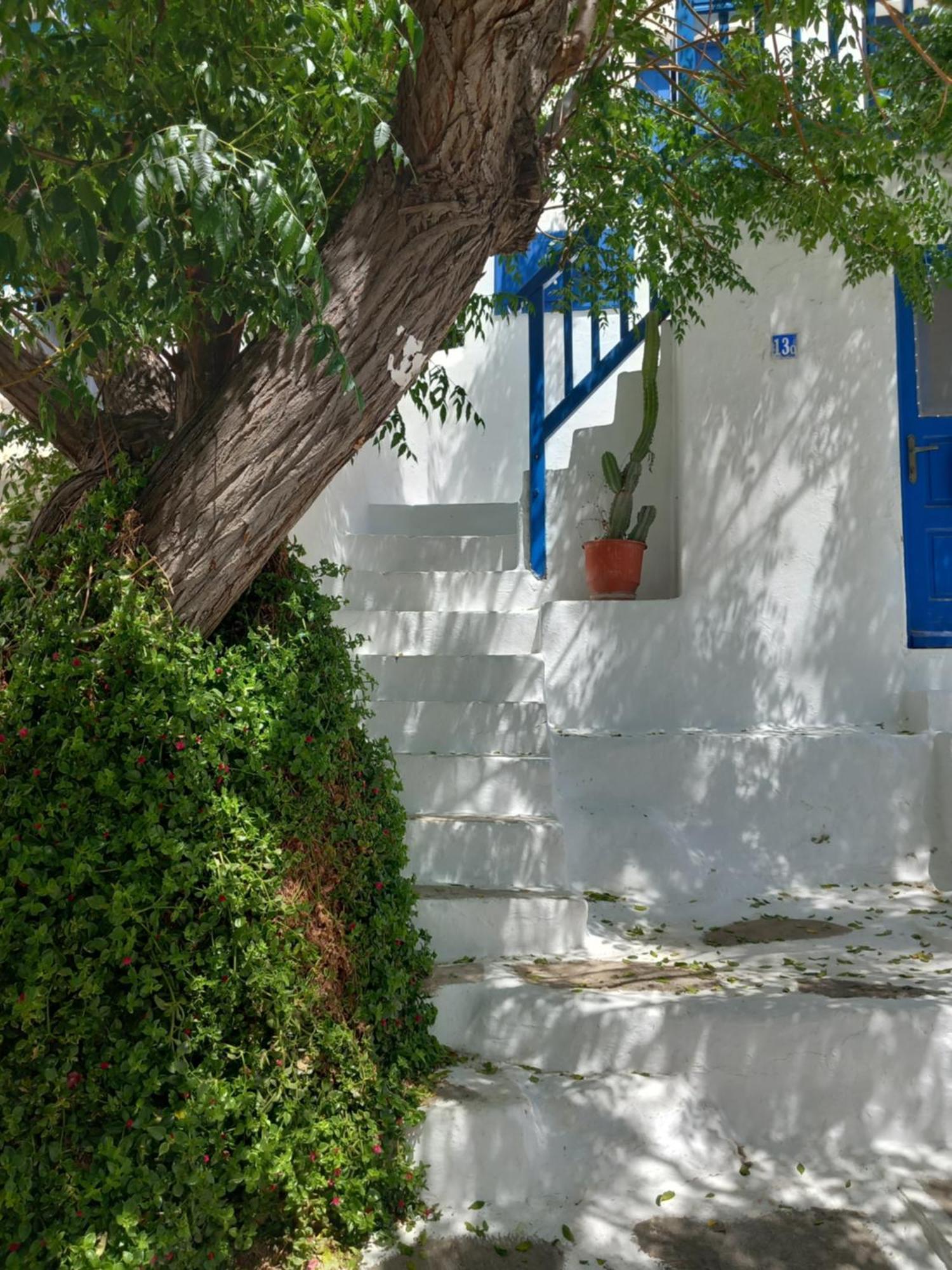 Alex Oldtown Sea View Rooms And Appartments Mykonos Town Room photo
