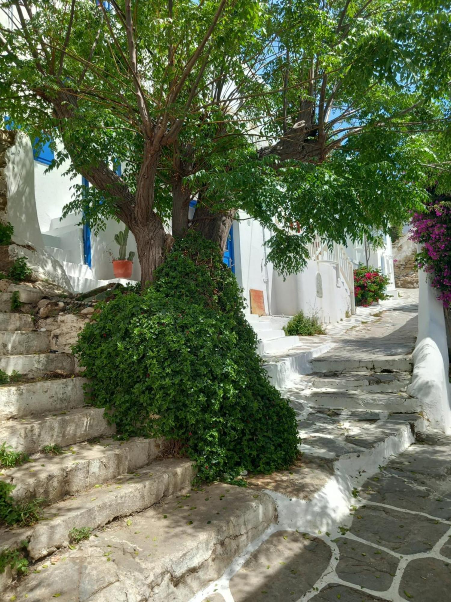 Alex Oldtown Sea View Rooms And Appartments Mykonos Town Exterior photo